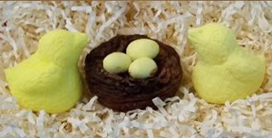 Baby Bird in Nest with Eggs Soap Mod Set