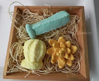 Cactus Succulent Set Soap Mold