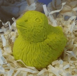 Baby Bird Adorable Chick Soap Mold