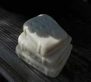 Book Soap and Candle Mold