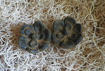 Primitive Magnolia Flower Soap and Beeswax Mold